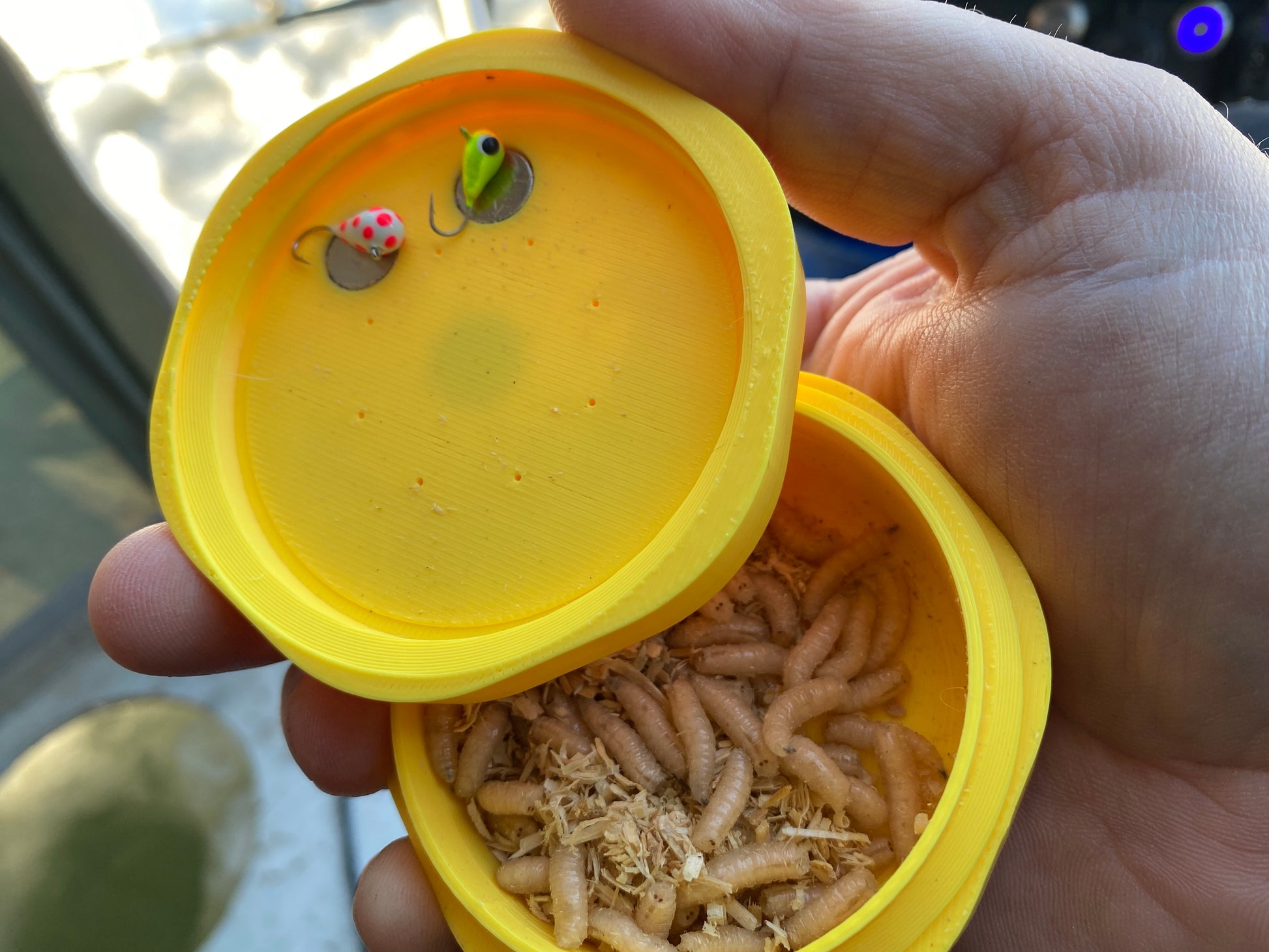 bug fish box Bug Box